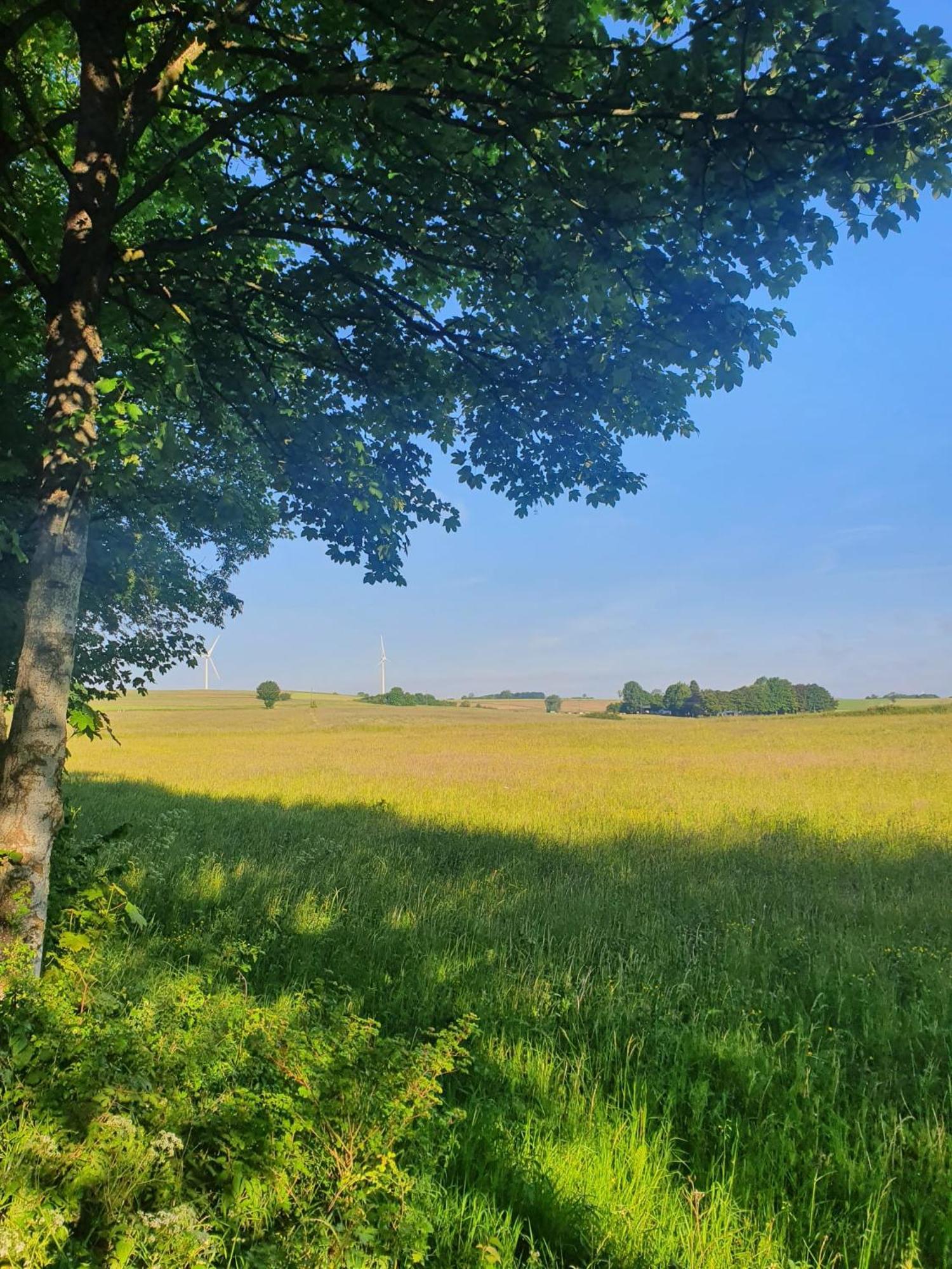Schoene Aussicht Nettersheim المظهر الخارجي الصورة